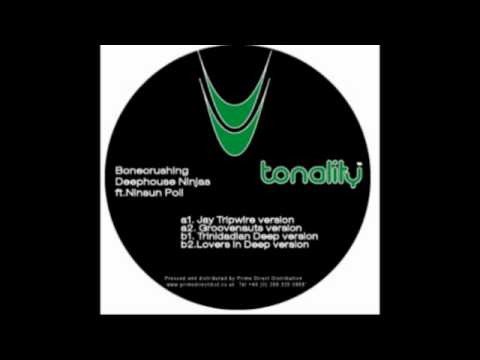 BDN feat. Ninsun Poli - Bonecrushing Deephouse Ninjas (Groovenauts Version) [Tonality, 2008]