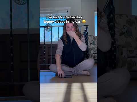 When you are TOO good at recall. #bunnydog