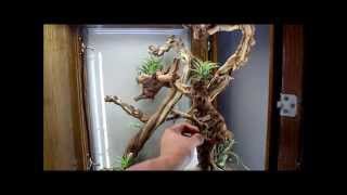 Custom Built Chameleon Cage Vivarium - Ambilobe Panther Chameleons