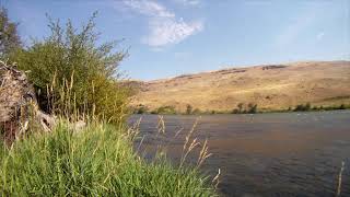 Oregon Steelhead Memories | Epic Fly Fishing Moments