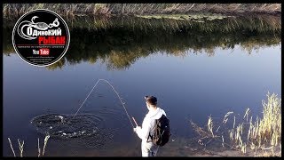 О рыбалке на урале в уральске