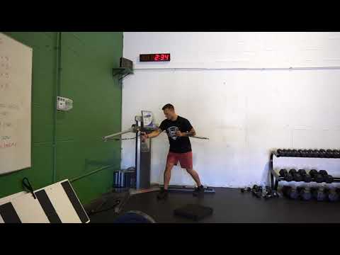 Keiser Push Pulls Split Stance