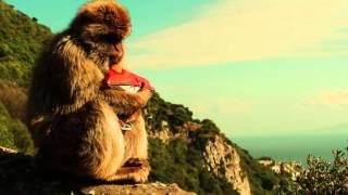 Travel Guide Spain /// Gibraltar