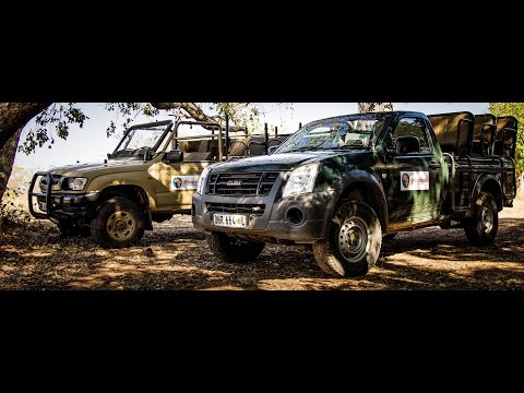 African Impact's Volunteer Projects in the Greater Kruger, South Africa