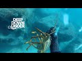 Deep Down Under - New Spearfishing Channel!