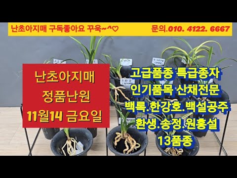 유튜브 썸네일