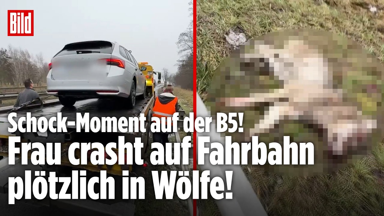 UNFALL AUF DER B5: Schock-Moment! Frau crasht auf Fahrbahn plötzlich in Wölfe!