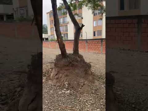 Lotes, Venta, Cañaveralejo - $991.000.000