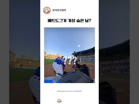 배트도그가 가장 슬퍼한다는 상황