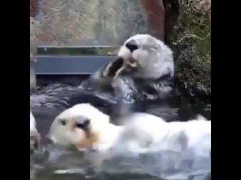 Чистота - залог успеха