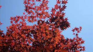 May Nothing but Happiness Come Through Your Door