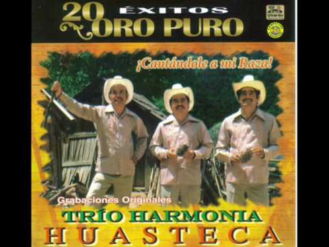 TRIO ARMONIA HUASTECA PRIETA LINDA