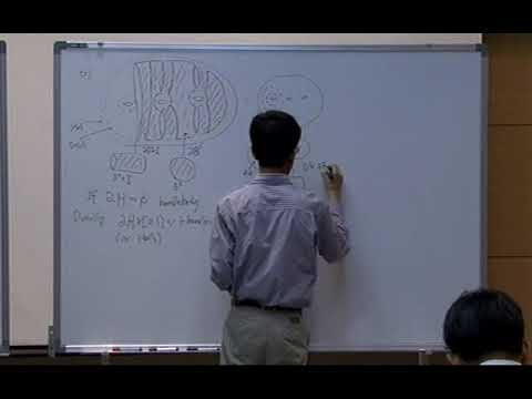 Lee JungHoon (KIAS) / Heegaard splittings of 3-manifold / 2009-07-20