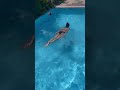 Kritikakamra Enjoys A Nice Swim As The City Temperature Soars Shorts Viral Shortsfeed