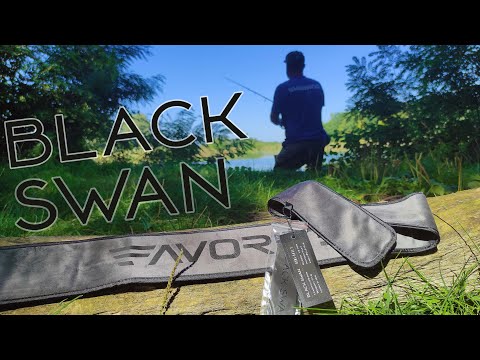 BSW1-982M-T 6-21 грамм