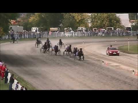 Grumetti 2017 trka do 250 EUR 13.10.2019. KK BAČKA SUBOTICA