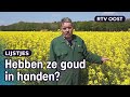 4x boeren met een bijzonder gewas op hun land | RTV Oost