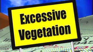 Forest Roads and the Environment