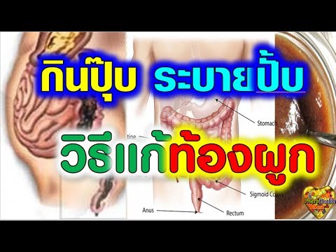 บินเชื้อโรคที่จะซื้อ Mycoplasma และความแข็งแรง
