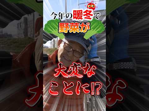 耐寒性野菜：気温や地温はどれくらい？  庭園