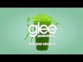 Glee Cast - Bust Your Windows (karaoke version ...