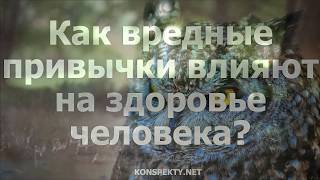 Как вредные привычки влияют на здоровье человека?