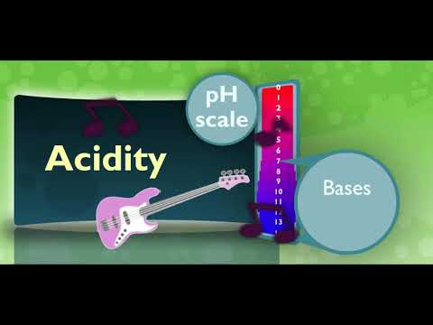 Scholastic - Study Jams - Acids and Bases