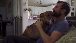 Circa Survive - Let's Just Sing and Dance