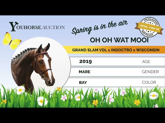 Oh Oh wat Mooi showvideo