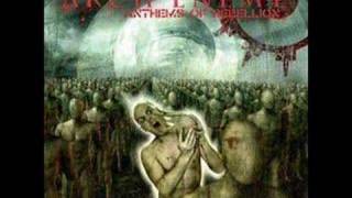 05. Arch Enemy - Anthems of Rebellion - Instinct