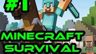 Survival Games #1 (fail)