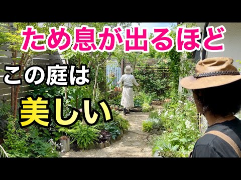 凍らない屋外多肉植物セダム