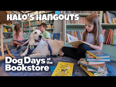 Citrus & Sage Bookshop video thumbnail