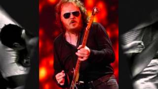 ZUCCHERO SUGAR FORNACIARI- ORO E BLUES (2008)