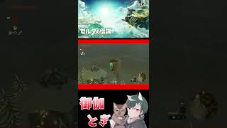 ゼル伝初心者が英雄になったあとの物語  194 #ゲーム実況 #shorts #short #ゲーム #ゼルダの伝説