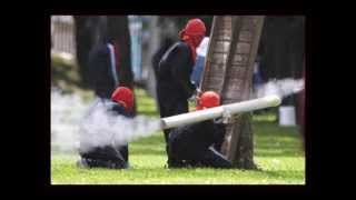 welcome to babilonia  Wisdom Weed