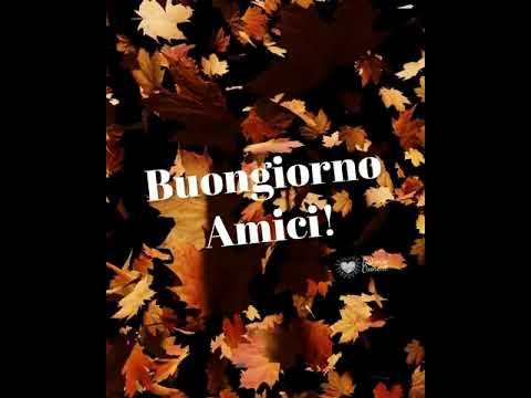 Video di Buongiorno autunnale con foglie