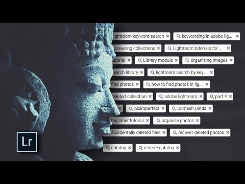 Lightroom Keywords Explained