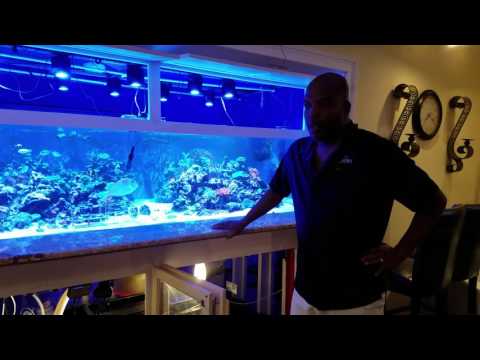 Introduction to my 500 Gallon Reef Tank