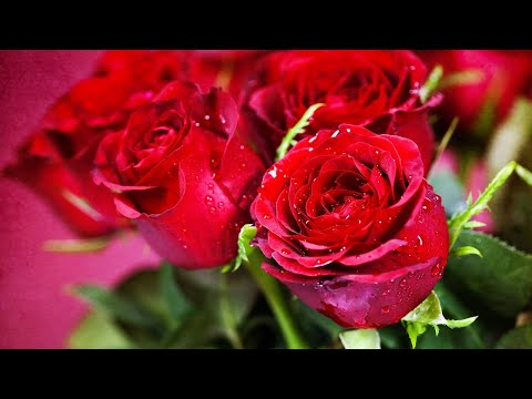 The most beautiful melody in the world! You can listen to this music forever! music Sergey Grischuk