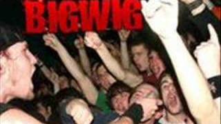 Bigwig - The girl in the green jacket