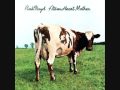 Pink Floyd - Fat Old Sun - [HQ] 
