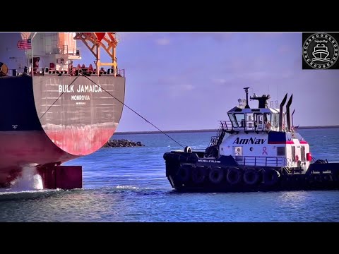 SHIPS AT PORT OF LOS ANGELES/LONG BEACH - 4K SHIPSPOTTING MARCH 2023