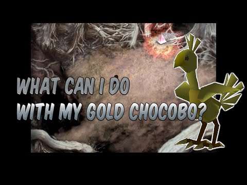 Important places in Final Fantasy VII where only the Golden Chocobo can reach.