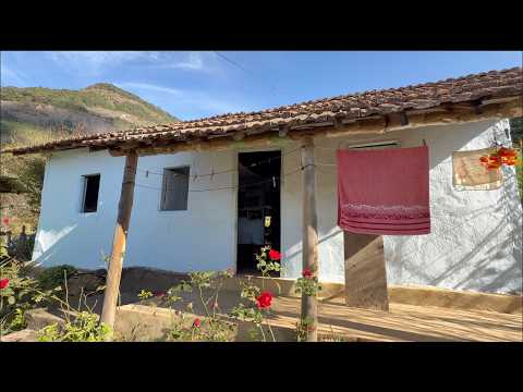 PARTE 2 MAIS UMA MULHER QUE VIVE SOZINHA NA ROÇA - BRAZÓPOLIS MG