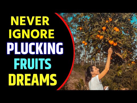 Plucking Fruits From Tree in Dream Meaning | Plucking Fruits From A Tree Dream Interpretation