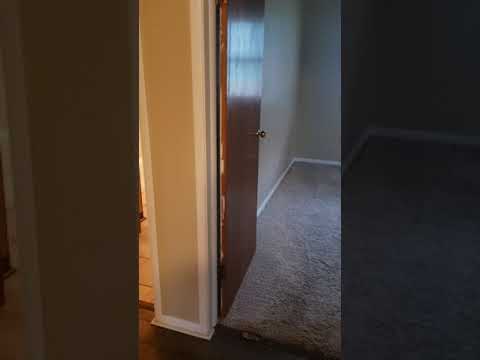 411 Lody Ln - Video 3 of 3