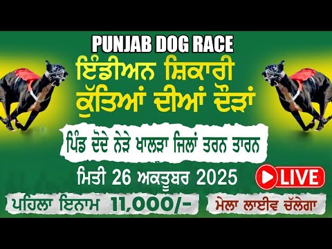 LIVE🔴Dode Dog Race (Tarn Taran) 26 Oct 20225 || Majha Dog Race