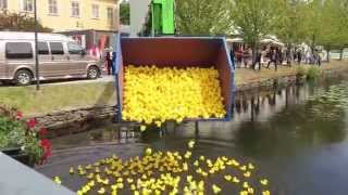 Potatisfestivalen 2015