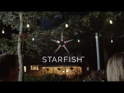  String Lights - Backyard Mood Lighting